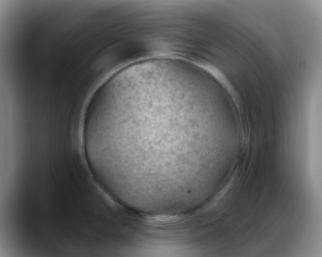 X0000088881294200706151805