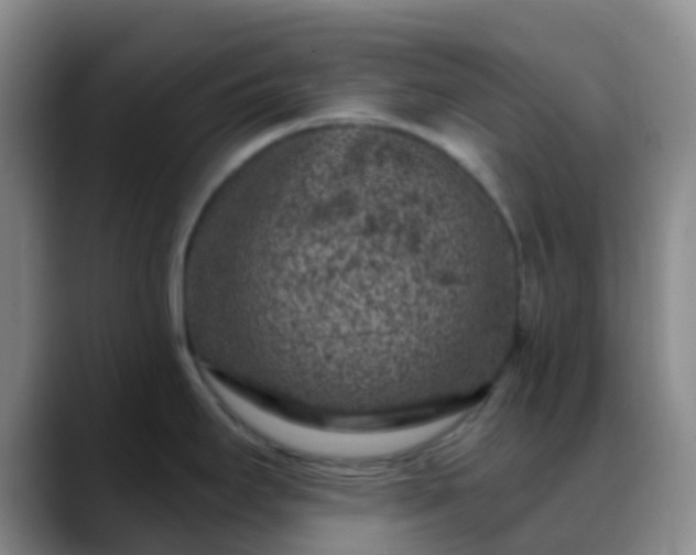 X0000088881295200706151804