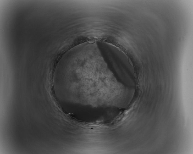 X0000088881297200706151804