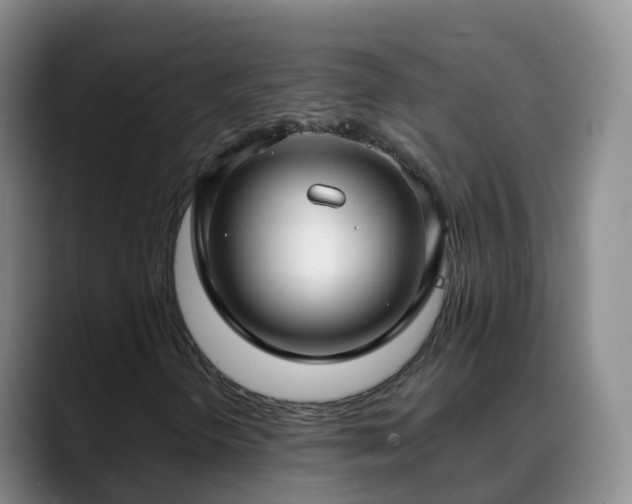 X0000088881298200706151804