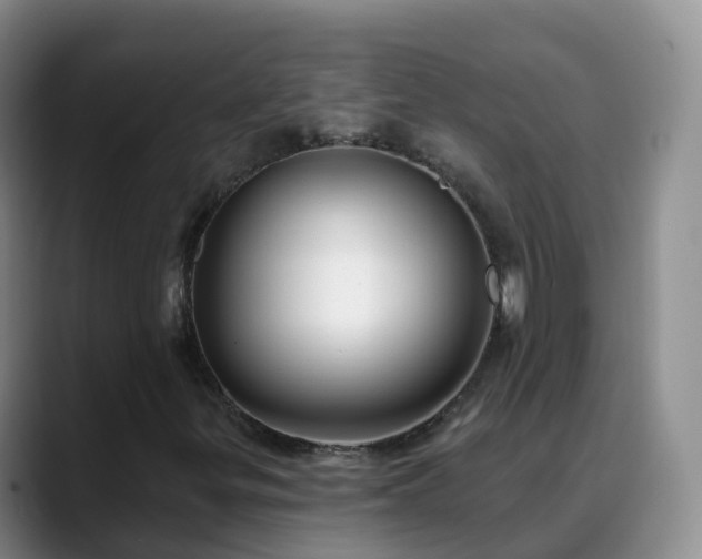 X0000088881299200706151804