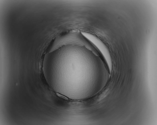 X0000088881300200706151804