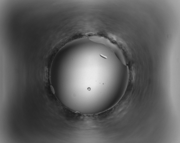 X0000088881301200706151804