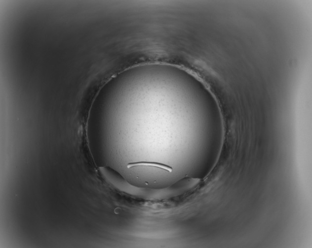 X0000088881302200706151804