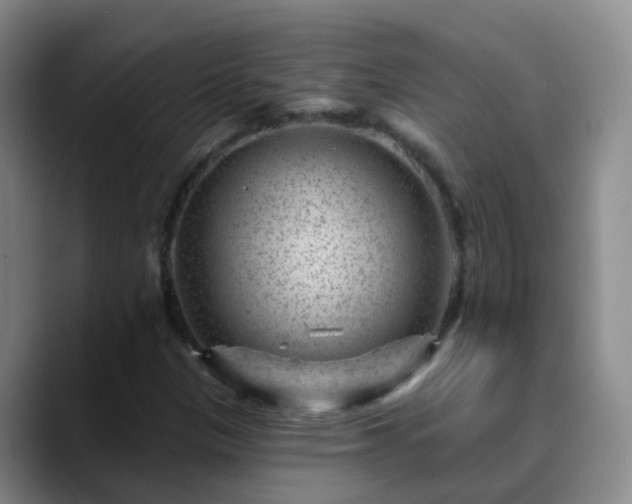 X0000088881305200706151804