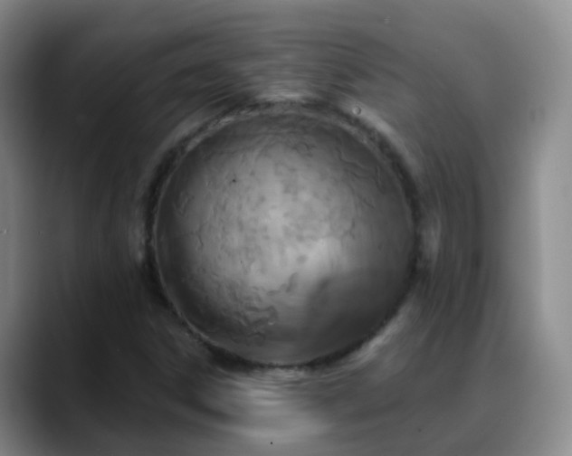 X0000088881306200706151804