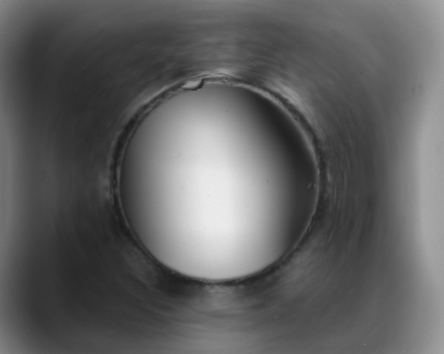 X0000088881308200706151804