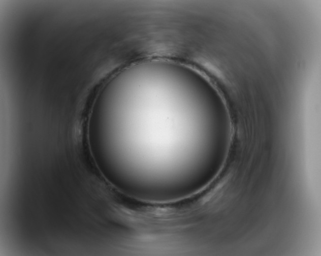 X0000088881309200706151804