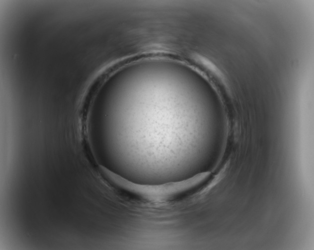 X0000088881310200706151804