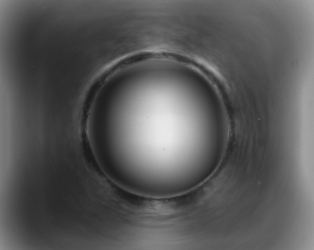 X0000088881311200706151804