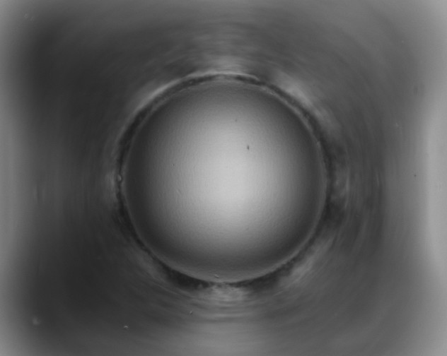 X0000088881312200706151804