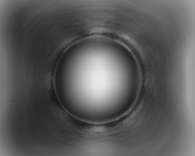 X0000088881313200706151804