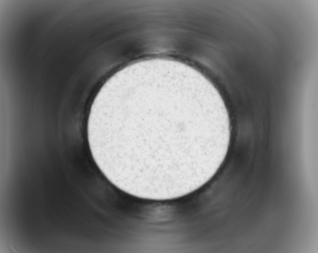 X0000088881314200706151804