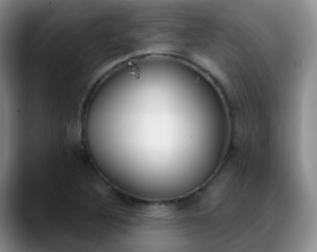 X0000088881316200706151804