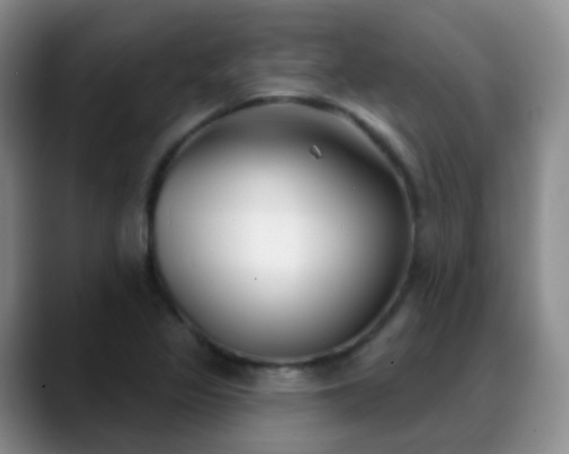 X0000088881317200706151804