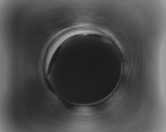 X0000088881319200706151804