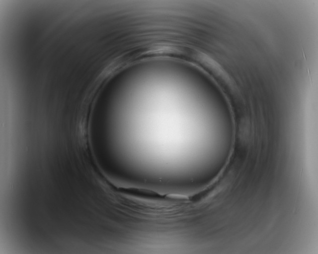 X0000088881321200706151804