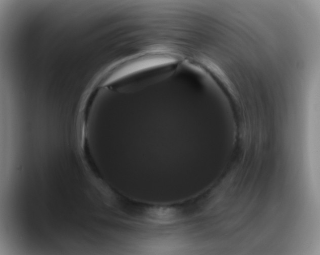 X0000088881323200706151804