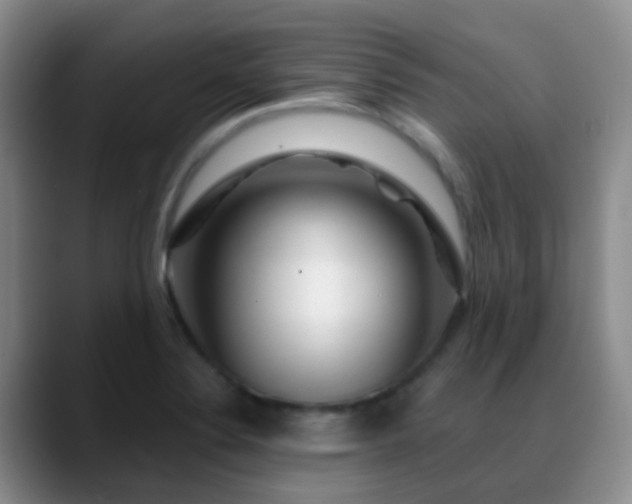 X0000088881324200706151804