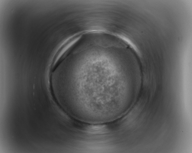 X0000088881325200706151804