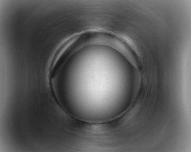 X0000088881326200706151804