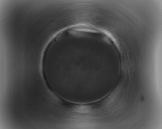 X0000088881327200706151804