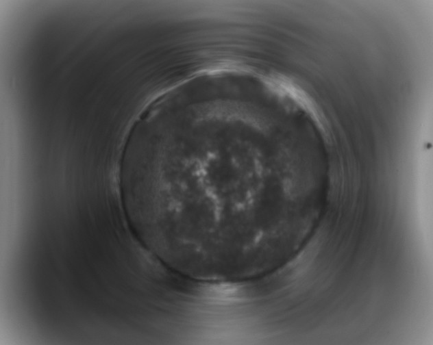 X0000088881329200706151804