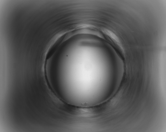 X0000088881330200706151804