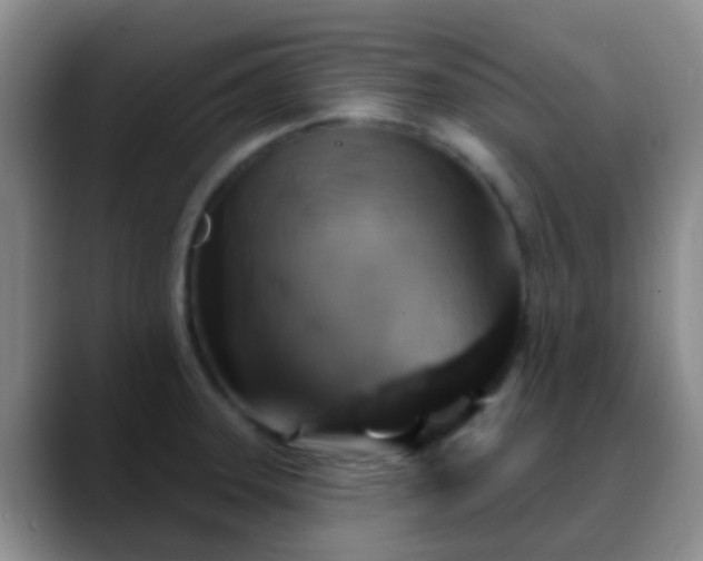 X0000088881331200706151804