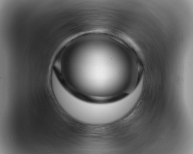 X0000088881332200706151804