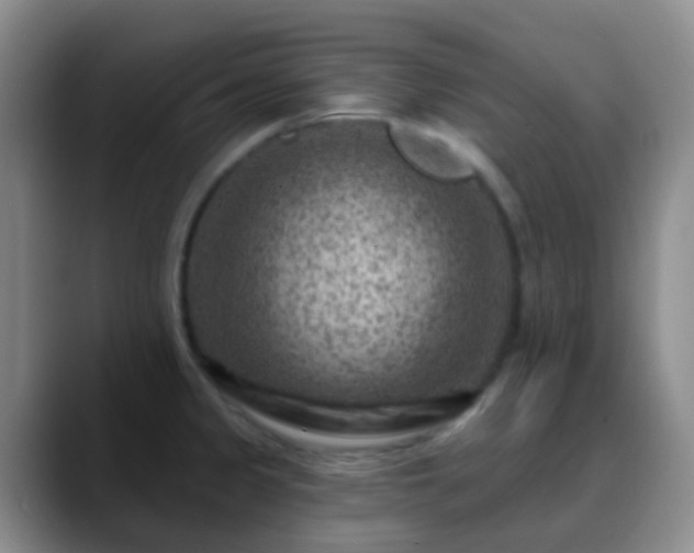 X0000088881333200706151804