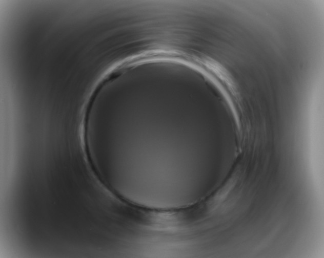 X0000088881334200706151804