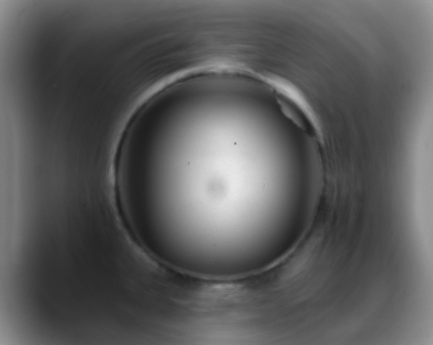 X0000088881335200706151804