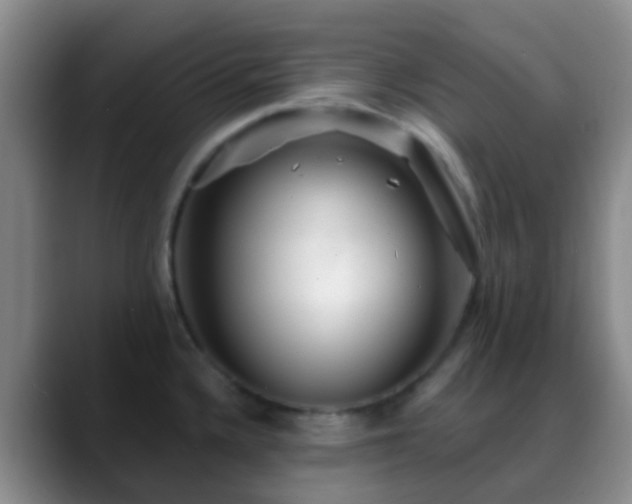 X0000088881336200706151804