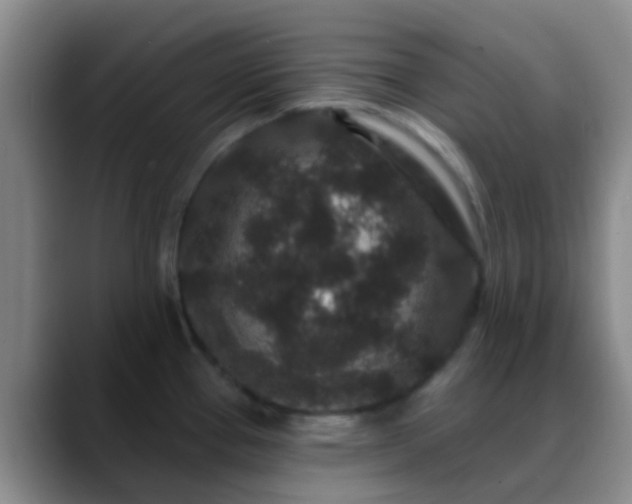 X0000088881337200706151804