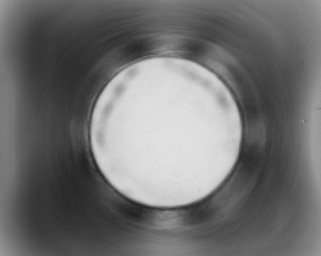 X0000088881338200706151804