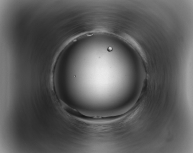 X0000088881340200706151804