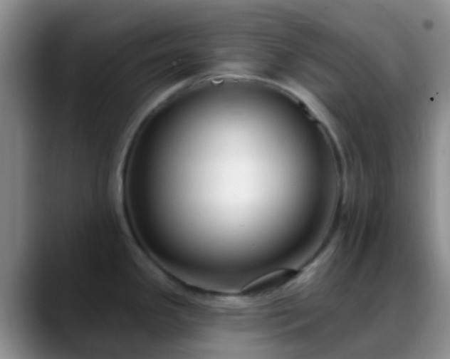 X0000088881341200706151804