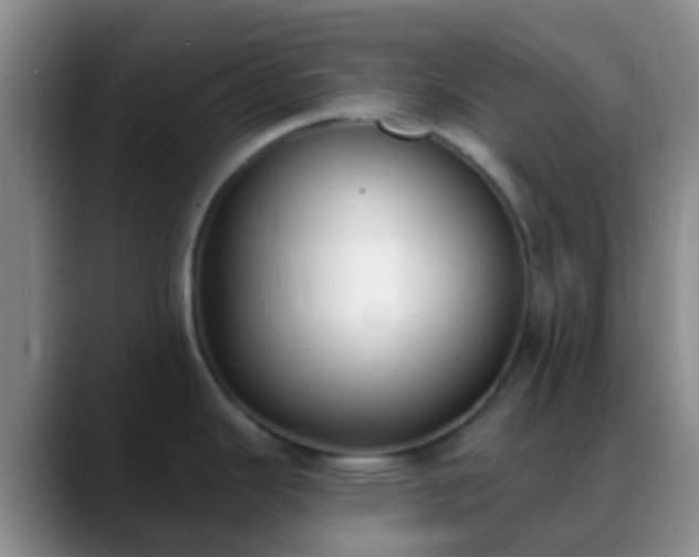 X0000088881343200706151804