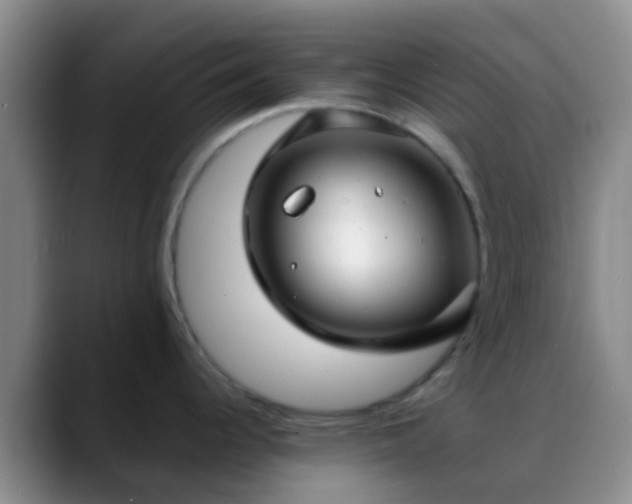 X0000088881344200706151804