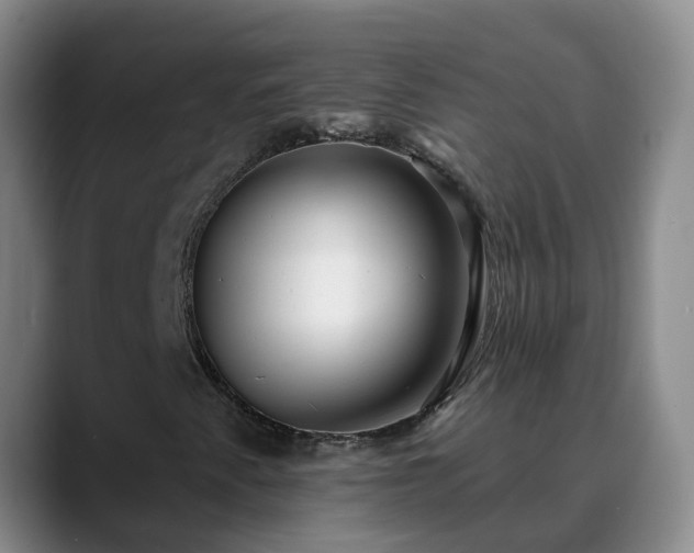 X0000088881345200706151804