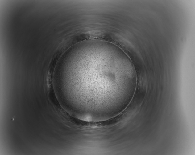 X0000088881346200706151804