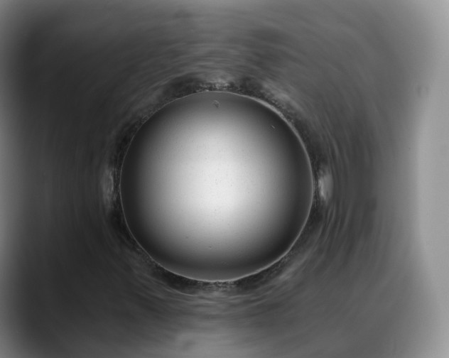 X0000088881347200706151804