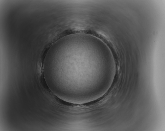 X0000088881348200706151804