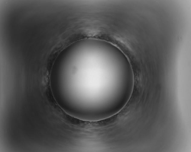 X0000088881349200706151804