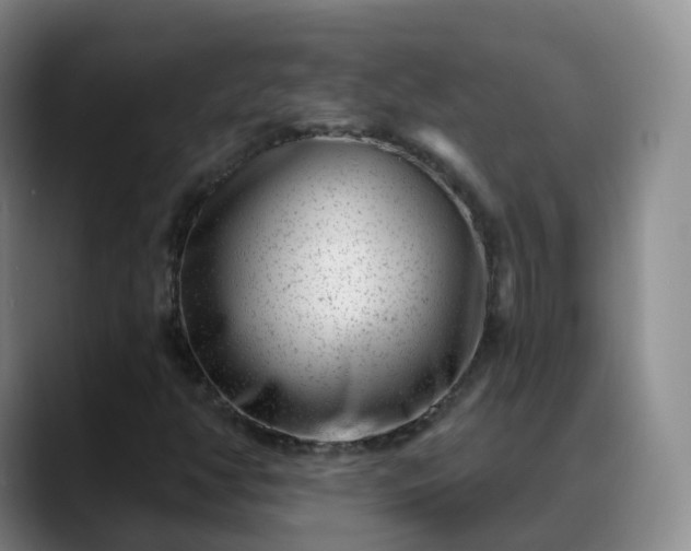 X0000088881350200706151804