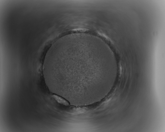 X0000088881351200706151804