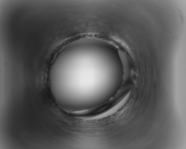 X0000088881352200706151804