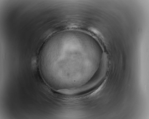 X0000088881353200706151804