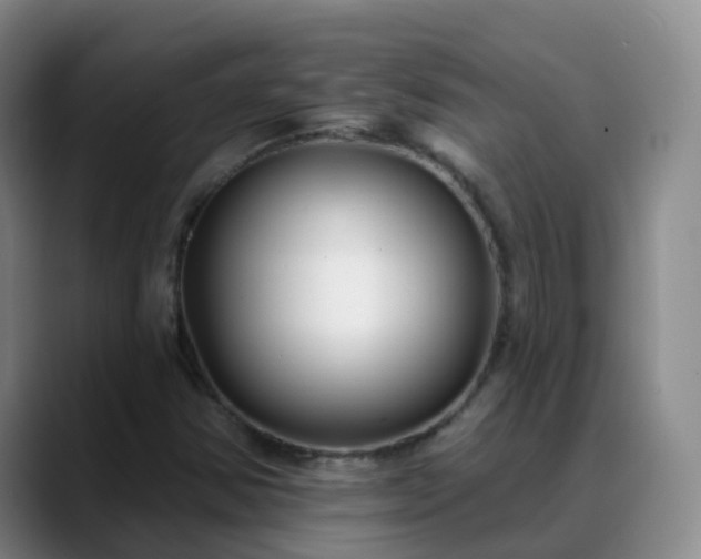 X0000088881354200706151804